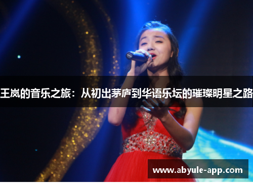 王岚的音乐之旅：从初出茅庐到华语乐坛的璀璨明星之路