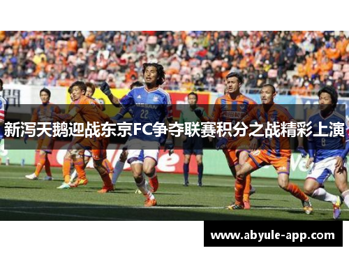 新泻天鹅迎战东京FC争夺联赛积分之战精彩上演